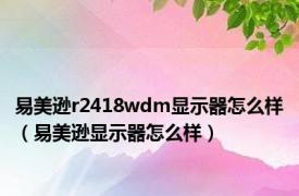 易美逊r2418wdm显示器怎么样（易美逊显示器怎么样）