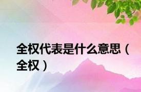 全权代表是什么意思（全权）