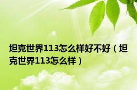 坦克世界113怎么样好不好（坦克世界113怎么样）