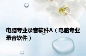 电脑专业录音软件A（电脑专业录音软件）