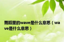 舞蹈里的wave是什么意思（wave是什么意思）