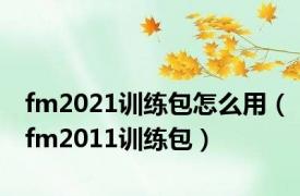 fm2021训练包怎么用（fm2011训练包）