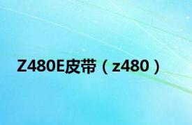 Z480E皮带（z480）