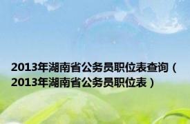 2013年湖南省公务员职位表查询（2013年湖南省公务员职位表）