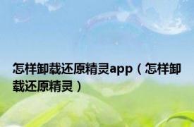 怎样卸载还原精灵app（怎样卸载还原精灵）