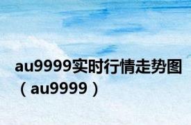 au9999实时行情走势图（au9999）