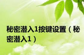 秘密潜入1按键设置（秘密潜入1）