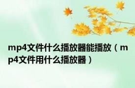 mp4文件什么播放器能播放（mp4文件用什么播放器）