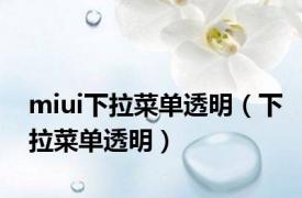 miui下拉菜单透明（下拉菜单透明）