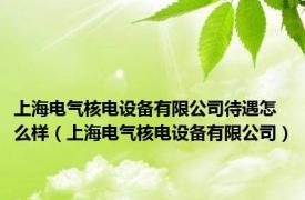 上海电气核电设备有限公司待遇怎么样（上海电气核电设备有限公司）