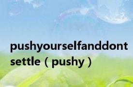 pushyourselfanddontsettle（pushy）