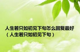 人生若只如初见下句怎么回复最好（人生若只如初见下句）