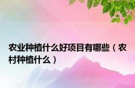 农业种植什么好项目有哪些（农村种植什么）