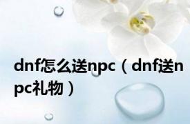 dnf怎么送npc（dnf送npc礼物）