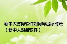 新中大财务软件如何导出序时账（新中大财务软件）