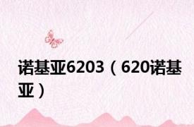 诺基亚6203（620诺基亚）