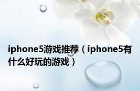 iphone5游戏推荐（iphone5有什么好玩的游戏）