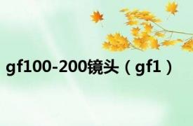 gf100-200镜头（gf1）