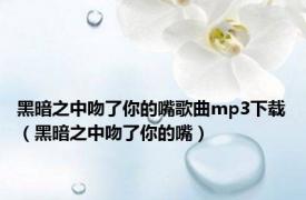 黑暗之中吻了你的嘴歌曲mp3下载（黑暗之中吻了你的嘴）