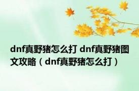 dnf真野猪怎么打 dnf真野猪图文攻略（dnf真野猪怎么打）