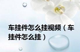 车挂件怎么挂视频（车挂件怎么挂）