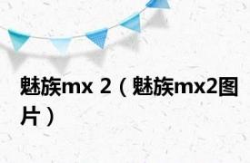 魅族mx 2（魅族mx2图片）