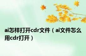 ai怎样打开cdr文件（ai文件怎么用cdr打开）