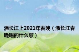 潘长江上2021年春晚（潘长江春晚唱的什么歌）