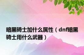 暗黑骑士加什么属性（dnf暗黑骑士用什么武器）