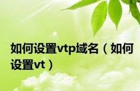 如何设置vtp域名（如何设置vt）