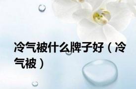 冷气被什么牌子好（冷气被）