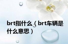 brt指什么（brt车辆是什么意思）