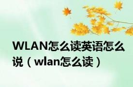 WLAN怎么读英语怎么说（wlan怎么读）