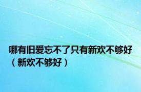 哪有旧爱忘不了只有新欢不够好（新欢不够好）