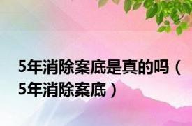 5年消除案底是真的吗（5年消除案底）