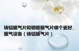 铸铝暖气片和钢板暖气片哪个更好_暖气设备（铸铝暖气片）