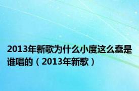 2013年新歌为什么小度这么蠢是谁唱的（2013年新歌）