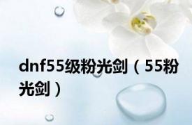 dnf55级粉光剑（55粉光剑）