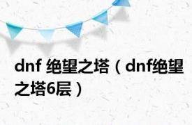 dnf 绝望之塔（dnf绝望之塔6层）