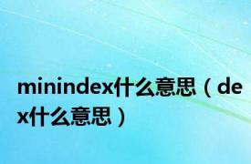 minindex什么意思（dex什么意思）