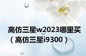 高仿三星w2023哪里买（高仿三星i9300）