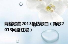 网络歌曲2013最热歌曲（新歌2013网络红歌）