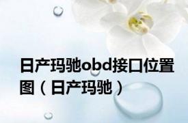 日产玛驰obd接口位置图（日产玛驰）