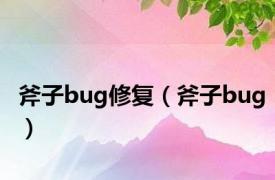 斧子bug修复（斧子bug）