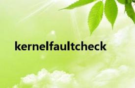 kernelfaultcheck