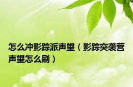 怎么冲影踪派声望（影踪突袭营声望怎么刷）