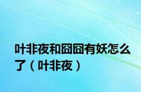 叶非夜和囧囧有妖怎么了（叶非夜）