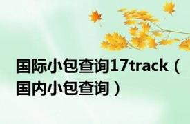 国际小包查询17track（国内小包查询）