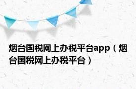 烟台国税网上办税平台app（烟台国税网上办税平台）