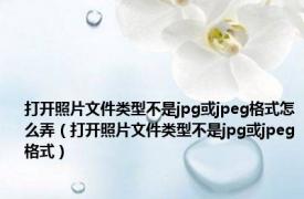 打开照片文件类型不是jpg或jpeg格式怎么弄（打开照片文件类型不是jpg或jpeg格式）